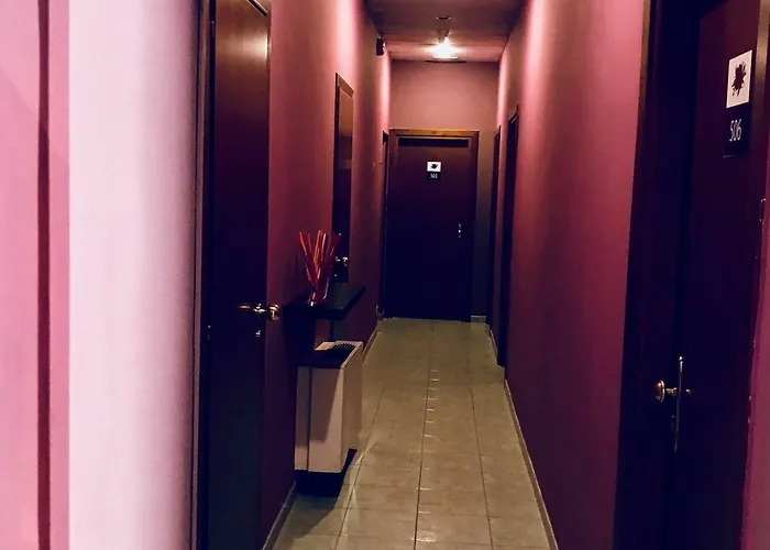 Hotel Hoteli 2*